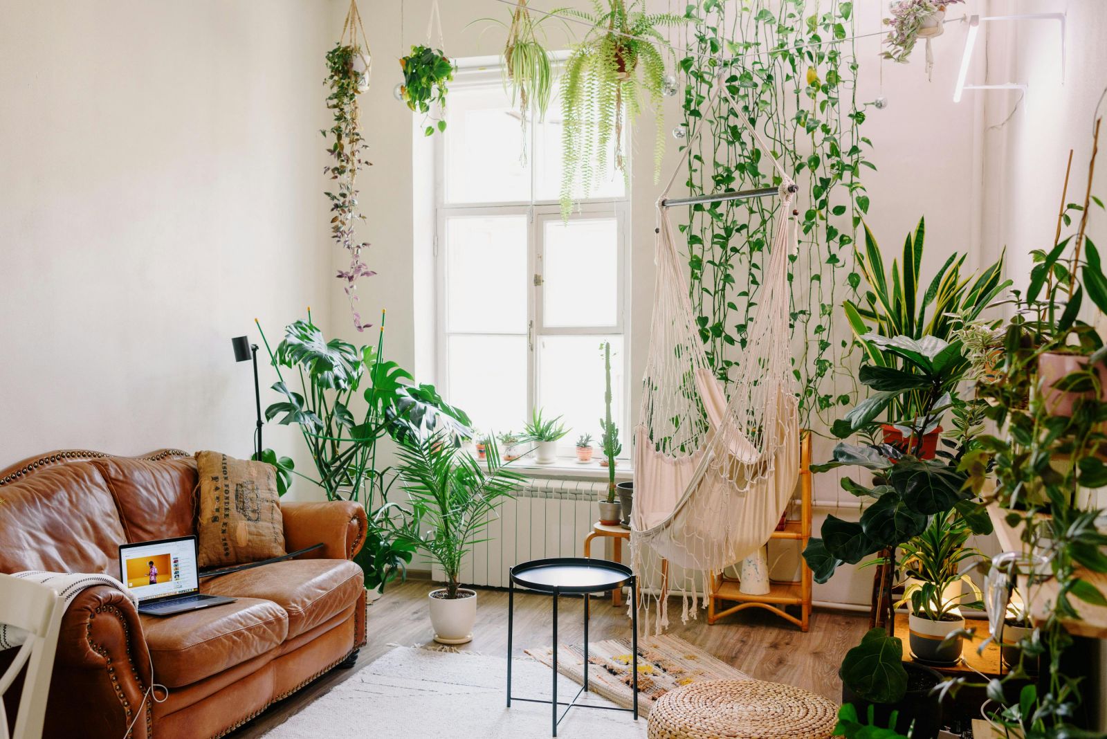 2025 Home Décor Trends You’ll Want in Your Apartment near UNR